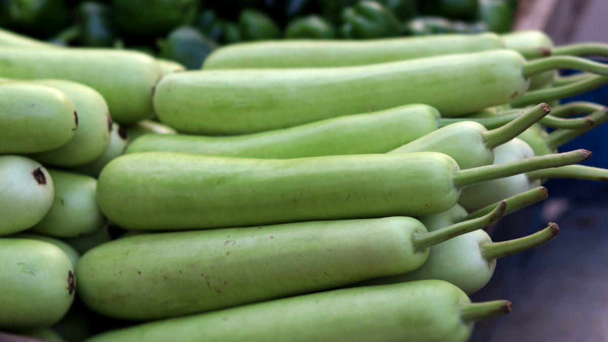 cooling foods for summer