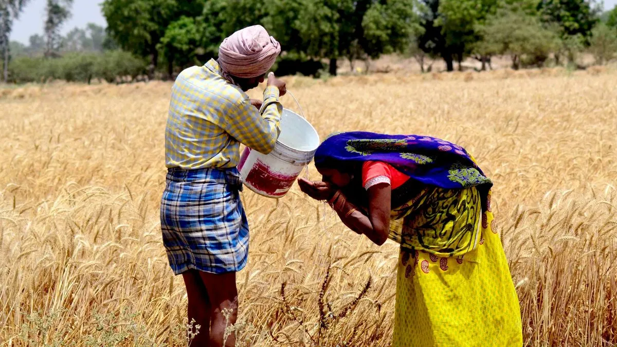 chandigarh-news-mandip-singh-brar-govt-buildings-schools-anganwadi-centres-to-harvest-rainwater-by-november