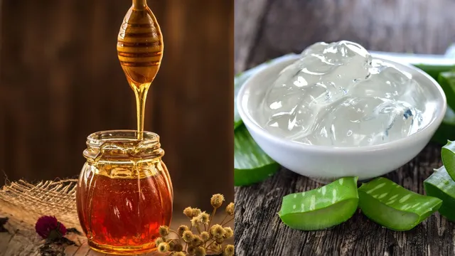 honey-vs-aloe-vera-which-is-the-best-natural-remedy-for-glowing-healthy-skin