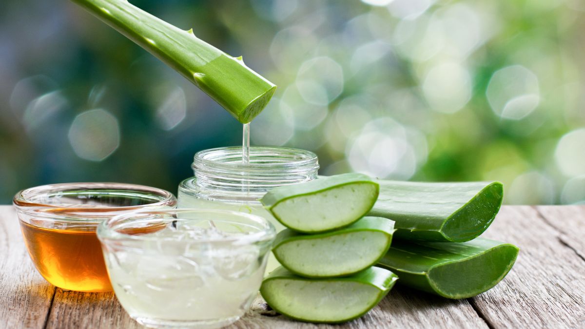 Aloe Vera Benefits Skin Health