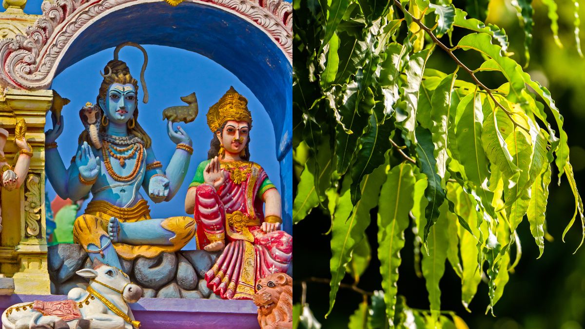 ashoka-ashtami-5-april-2025