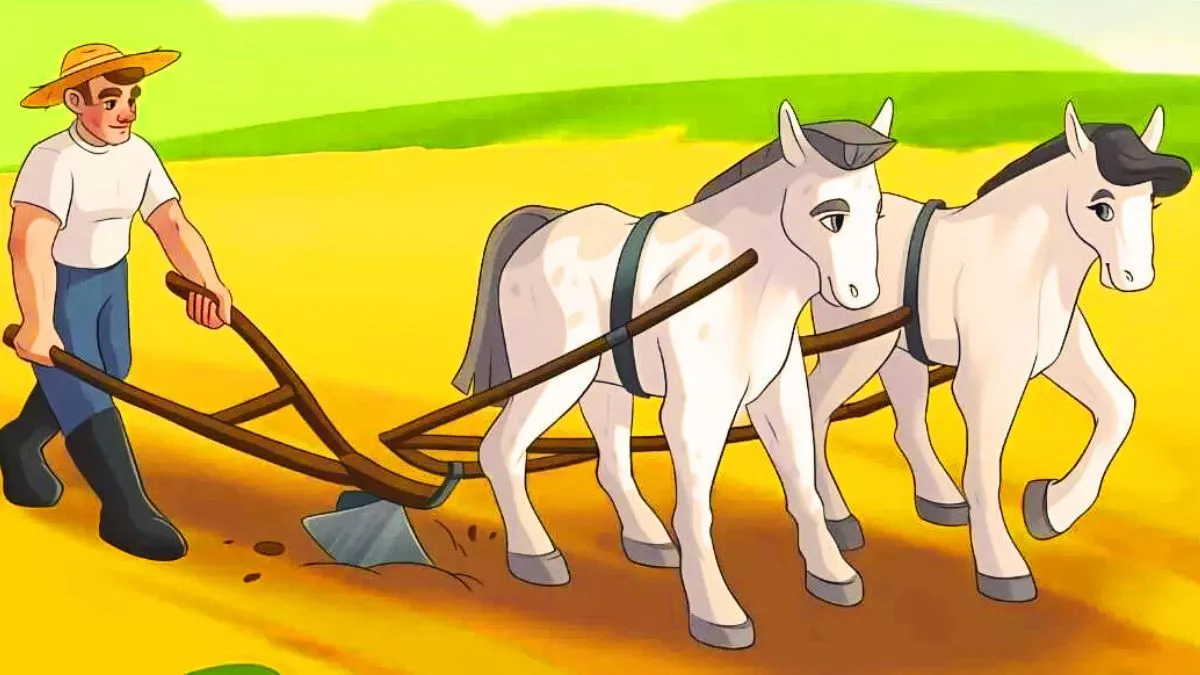 optical-illusion-test-only-sharp-minds-can-spot-error-in-this-farm-puzzle-can-you-solve-in-4-seconds-if-you-are-genius