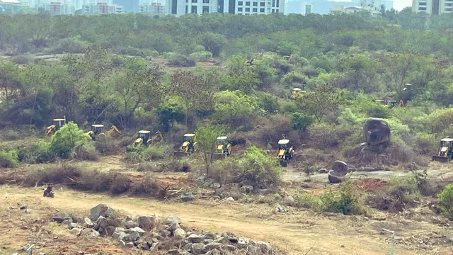 kancha-gachibowli-peacock-cries-go-viral-as-hundreds-of-trees-razed-near-hyderabad-university-video