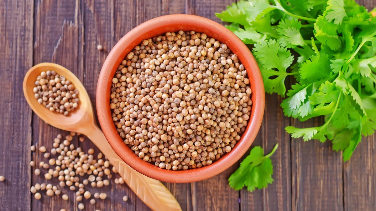 Coriander Seeds For Hair Growth