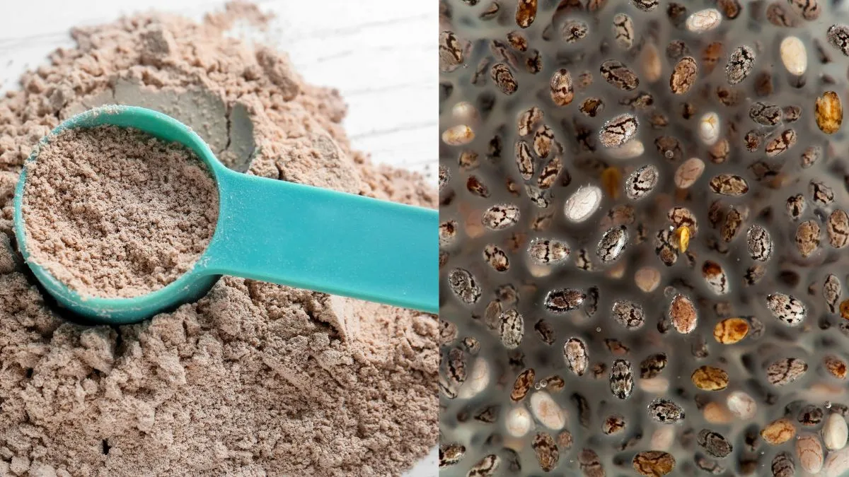 chia-seeds-powder-vs-chia-seeds-gel-which-is-better-for-hair-growth-and-why