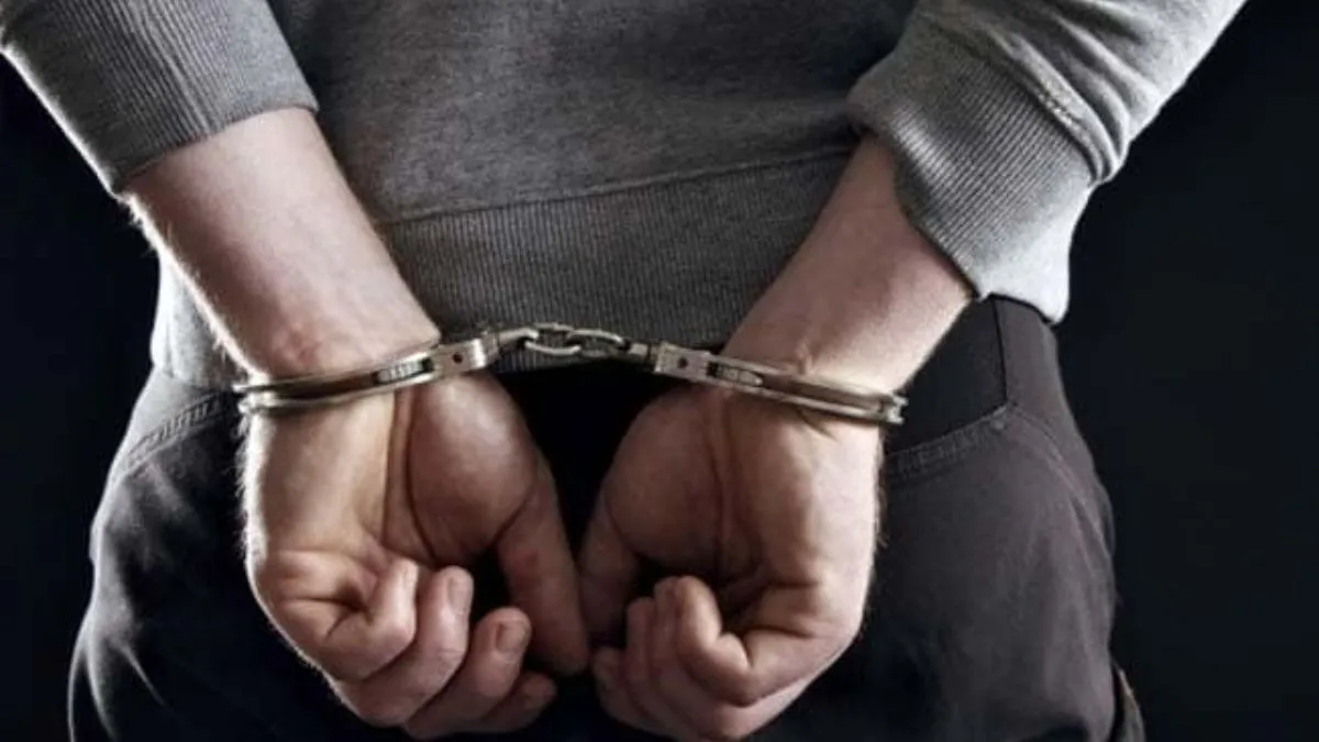 indian-origin-man-bhaveshkumar-dahyabhai-shukla-charged-with-sexual-assault-on-plane-in-us