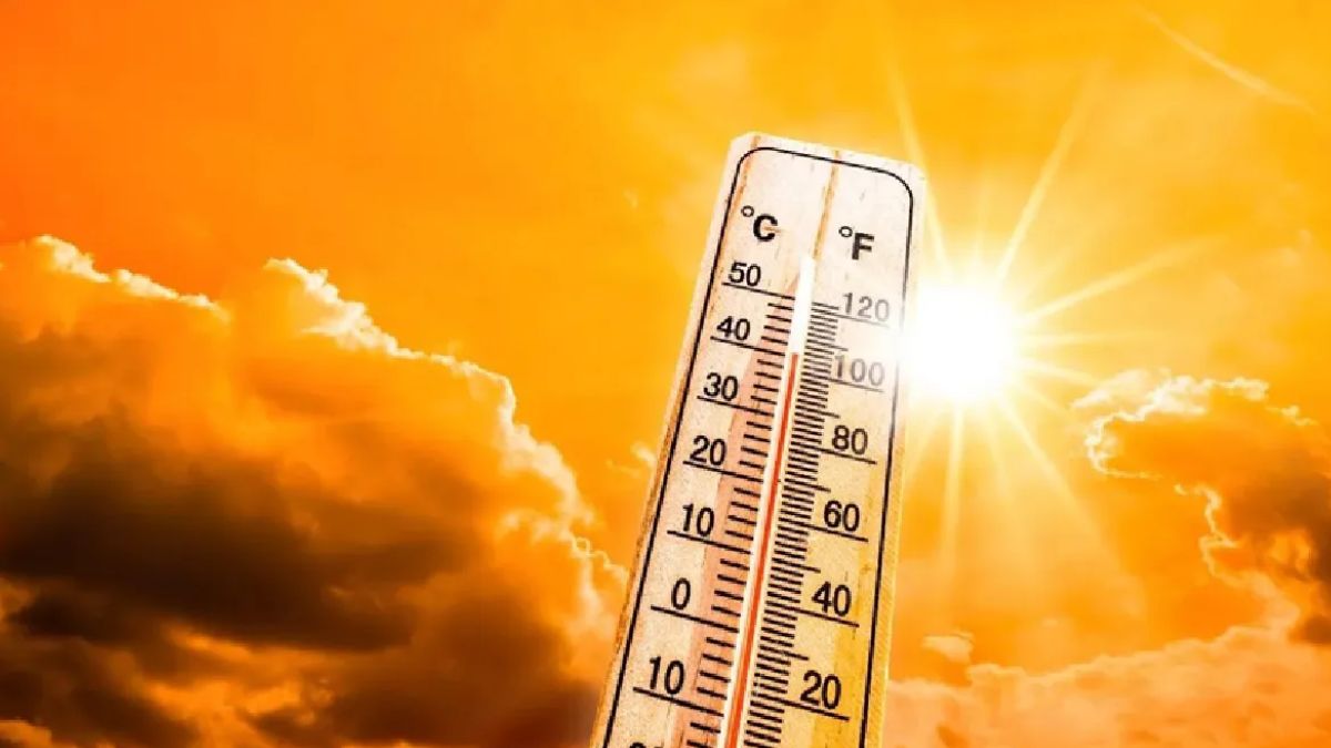 weather-update-imd-issues-heatwave-alert-for-punjab-haryana-rain-to-decrease-temperature-in-delhincr-up-details