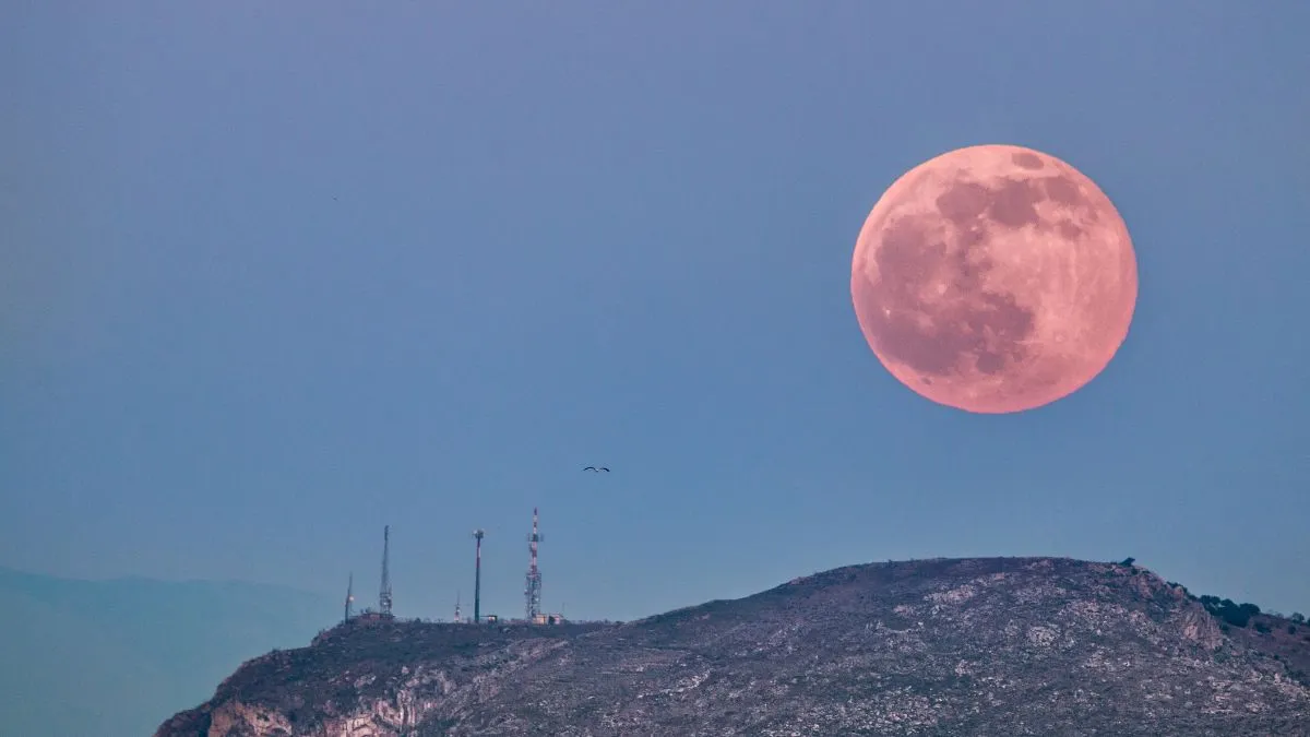 april-pink-moon-2025-to-appear-as-micromoon-when-and-how-to-watch-in-india