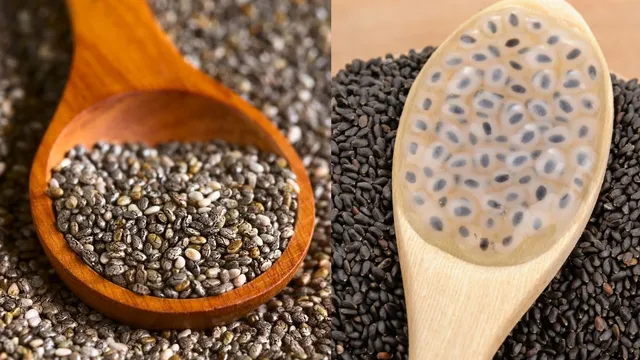 chia-seeds-vs-sabja-seeds-which-superfood-keeps-you-cooler-in-summer