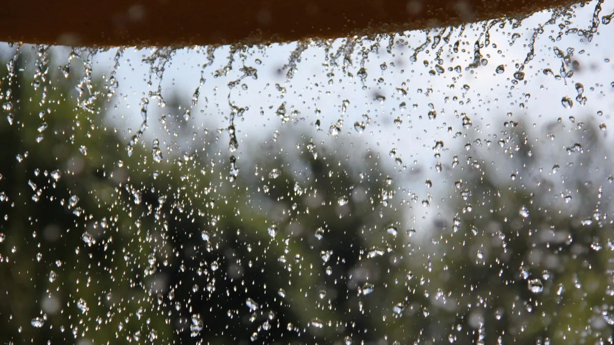 monsoon-update-imd-forecasts-abovenormal-cumulative-rainfall-in-india-this-year-rules-out-el-nino-impact
