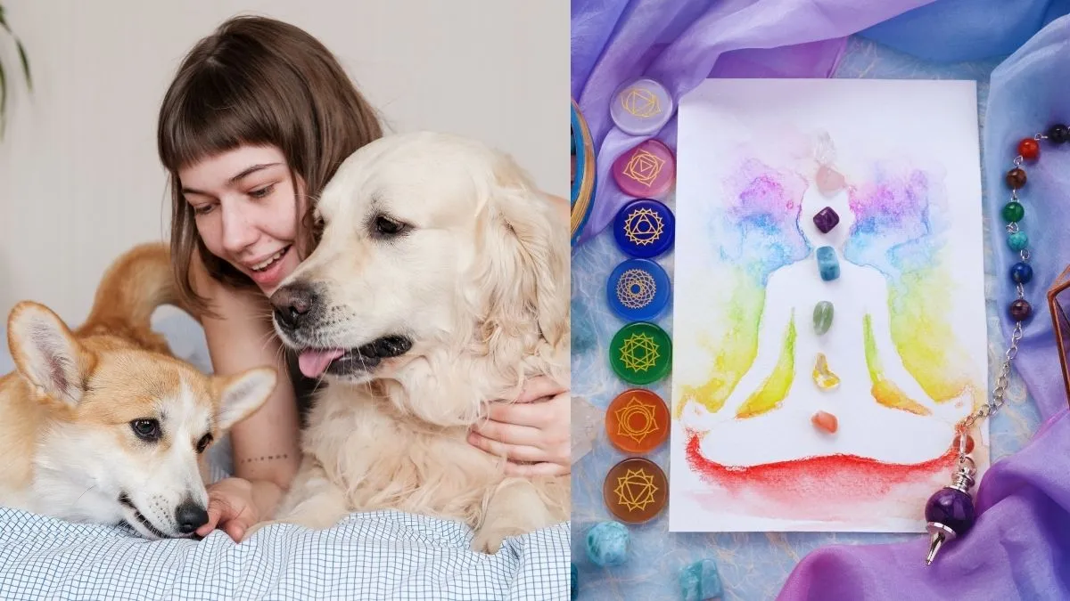 can-petting-a-dog-help-balance-your-body-chakras-and-energy-know-via-spiritual-insight