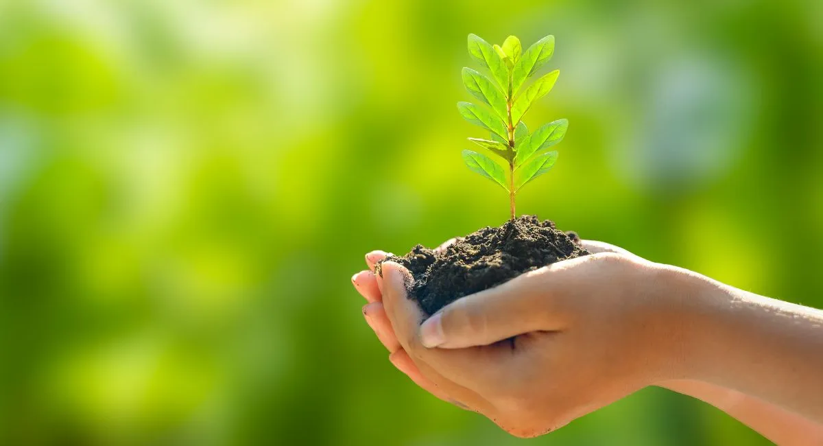up-students-to-raise-environmental-awareness-organise-eco-exhibitions-quizzes-and-tree-plantations-against-plastic-pollution