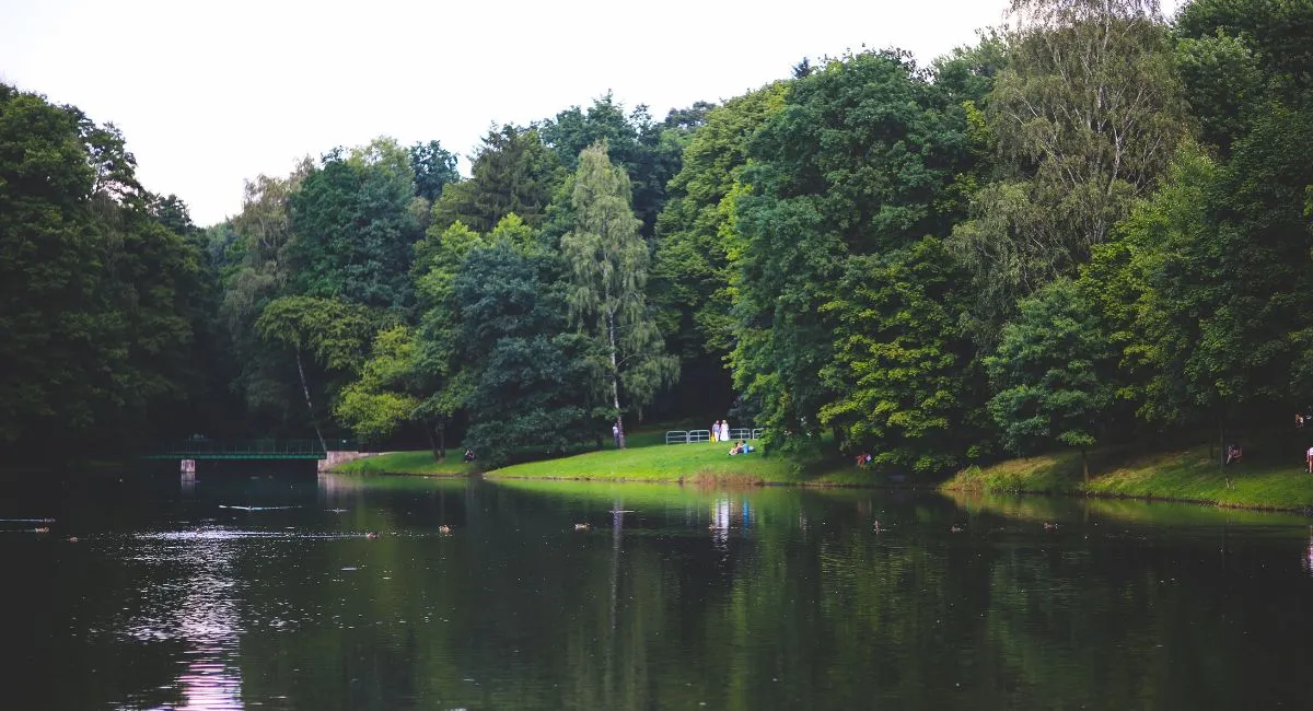 bihar-tourism-600-ponds-and-lakes-across-districts-to-be-developed-as-tourist-attractions
