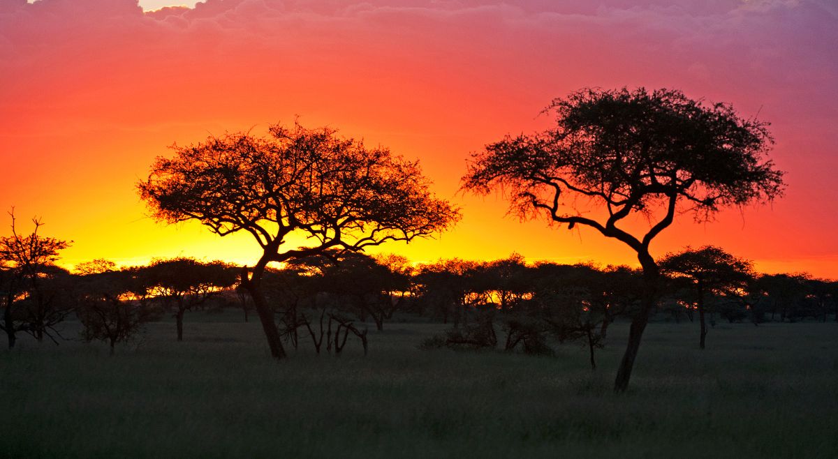 Serengeti National Park