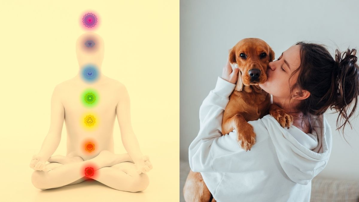 dog-petting-balance-chakra