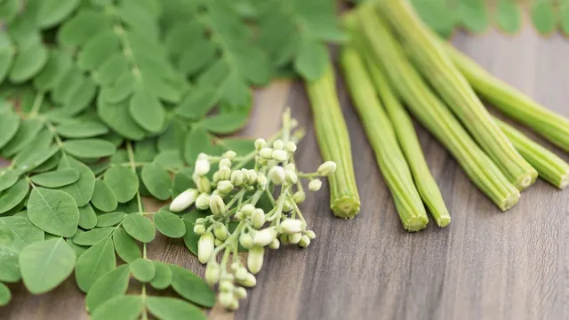 drumstick-benefits-7-powerful-reasons-to-include-moringa-this-summer