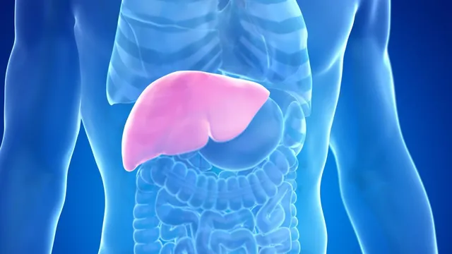 world-liver-day-2025-6-hidden-factors-that-destroy-liver-beyond-alcohol