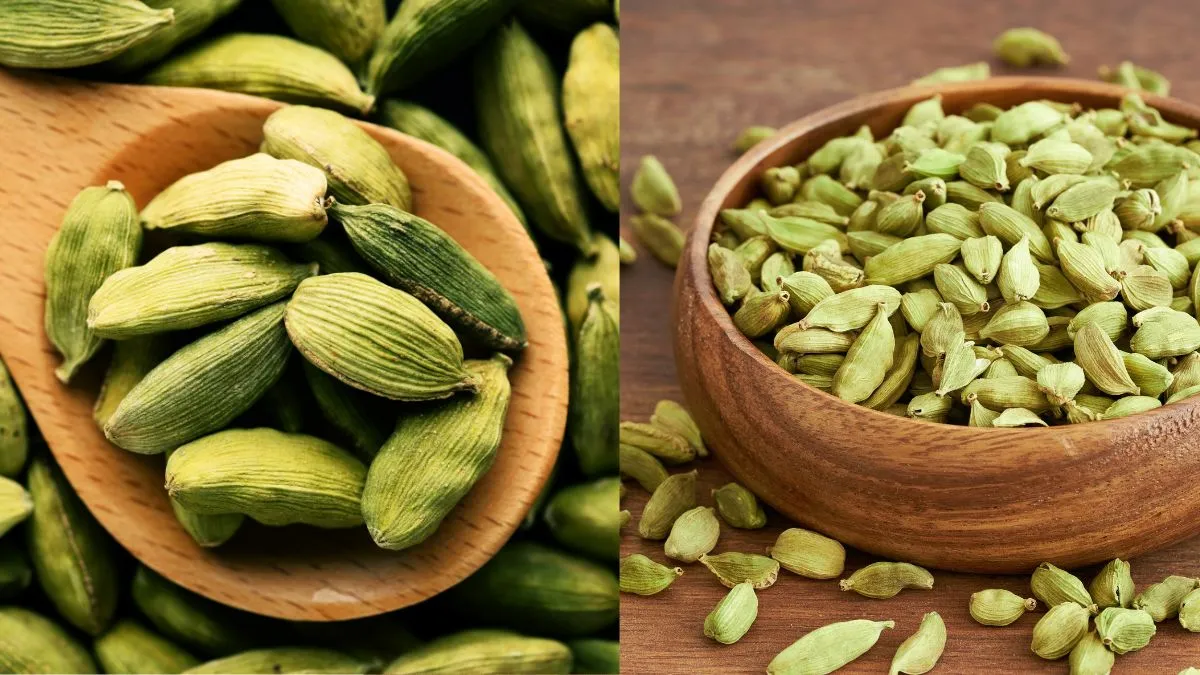 how-to-unlock-your-doors-to-success-and-prosperity-using-cardamom-or-elaichi-know-from-vastu-and-astrology-expert