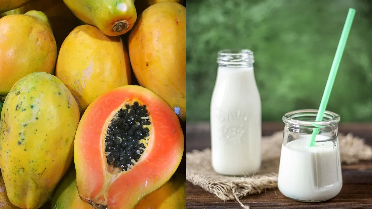 what-not-to-eat-with-papaya-6-common-foods-you-should-avoid-pairing-with-papaya