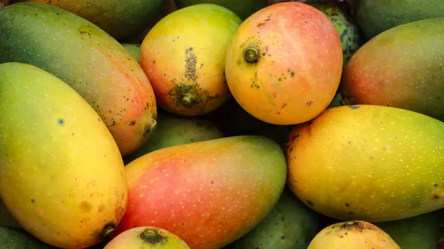 5-simple-ways-to-check-if-your-mangoes-are-chemically-ripened