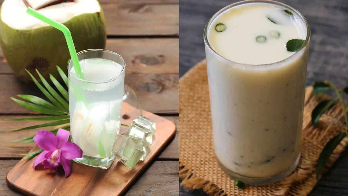 diabetic-friendly-drinks-in-summer-5-best-drinks-for-diabetes-patients-to-keep-their-blood-sugar-stable