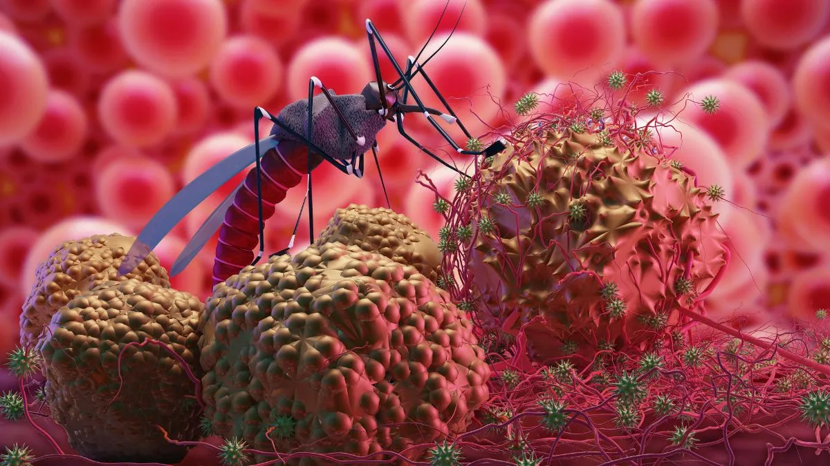world-malaria-day-2025-what-is-cerebral-malaria-doctor-lists-causes-symptoms-treatment-and-more