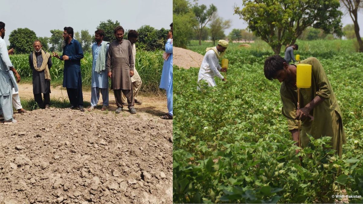 indus river importance