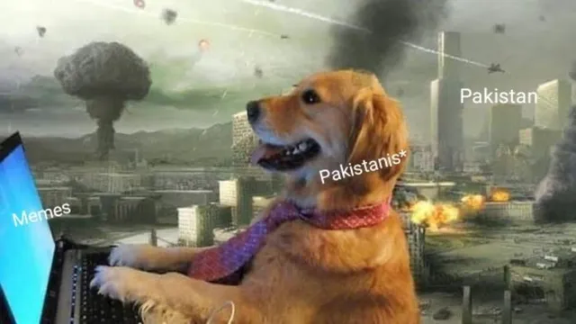 gas-goes-off-after-that-pakistanis-mock-own-govt-amid-fallout-with-india-over-pahalgam-attack