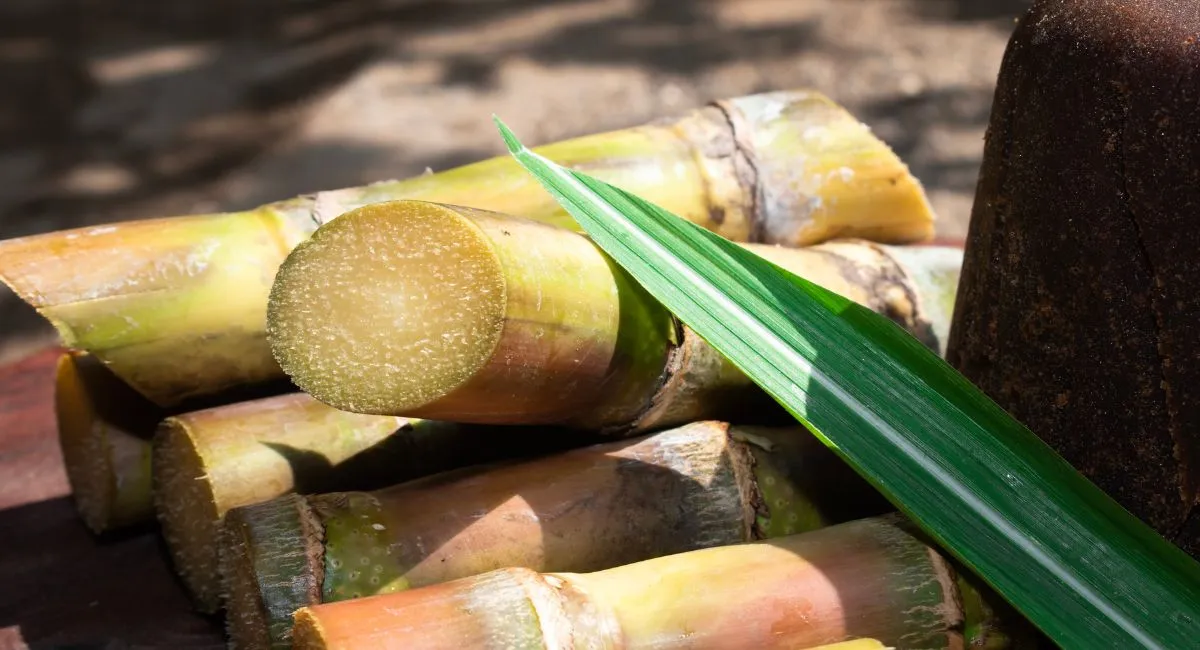 up-govt-enforces-zero-tolerance-policy-on-sugarcane-trade-violation-seizes-over-3000-quintal