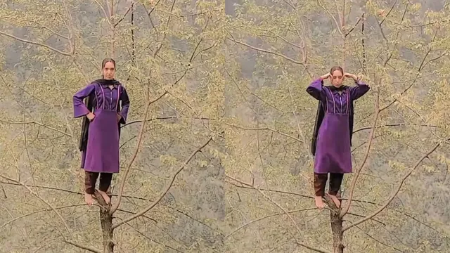 viral-video-kashmiri-woman-daring-dance-moves-on-jhalla-wallah-on-top-of-tree-leaves-internet-shocked-and-amazed