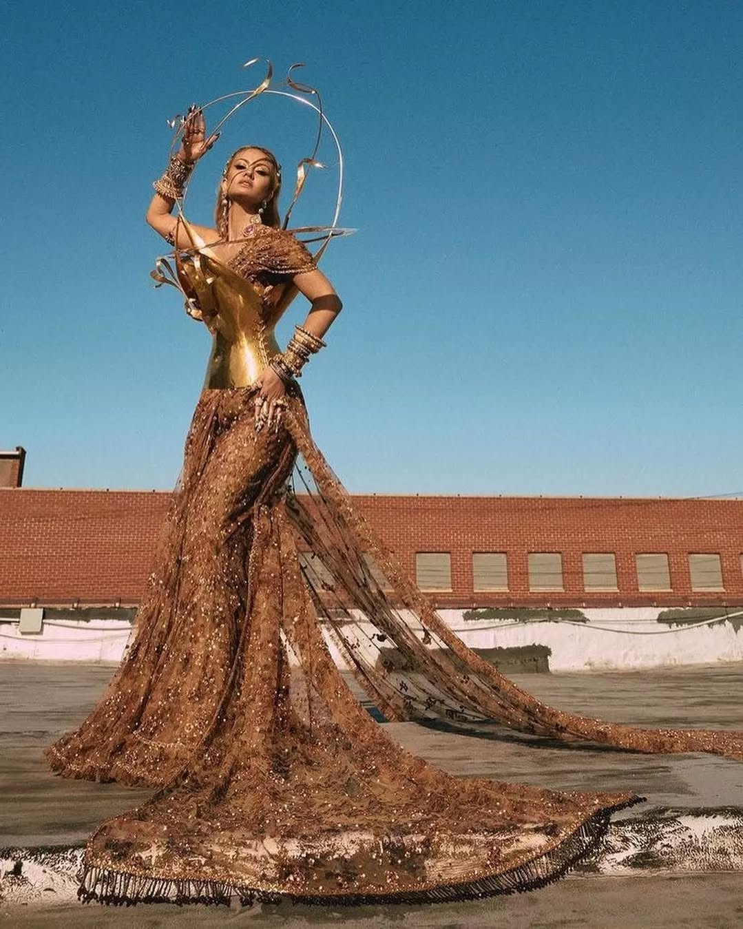 natasha ponnawalla met gala