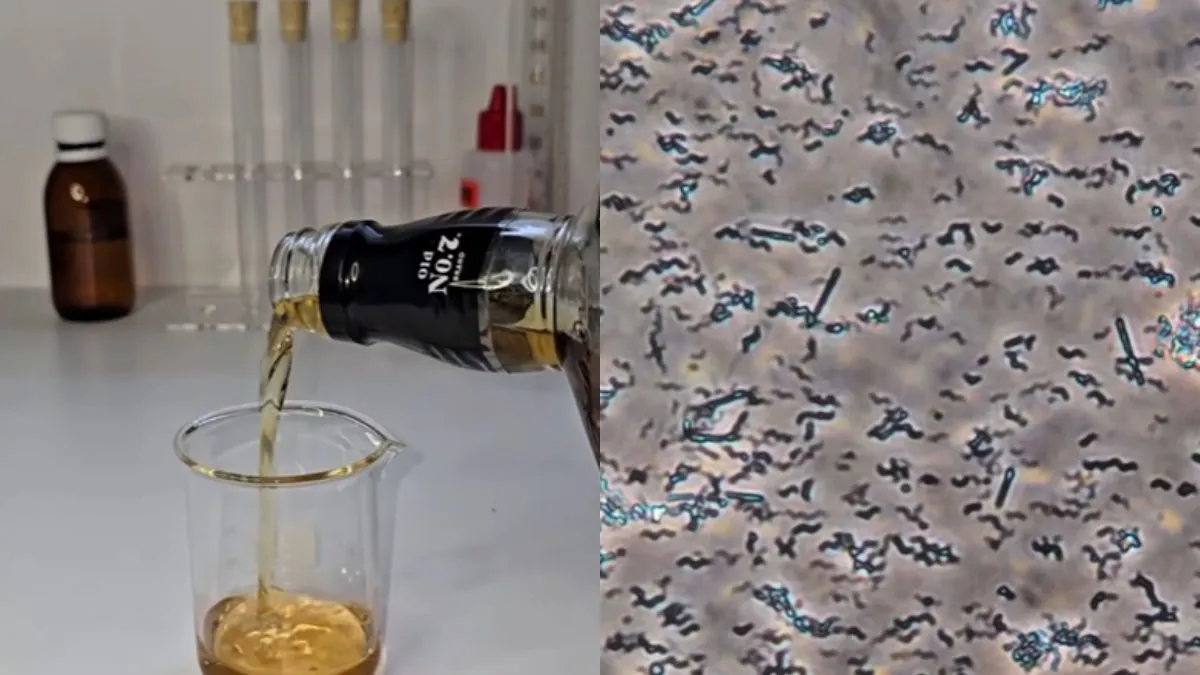 viral-video-shows-whiskey-vs-bacteria-and-result-leaves-internet-with-new-reason-to-celebrate-alcohol