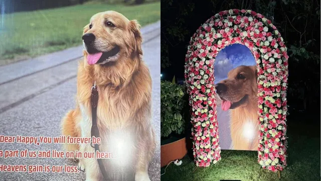 anant-ambani-beloved-dog-happy-passes-away-family-remembers-him-with-heartfelt-note-heavens-gain-is-our-loss-viral