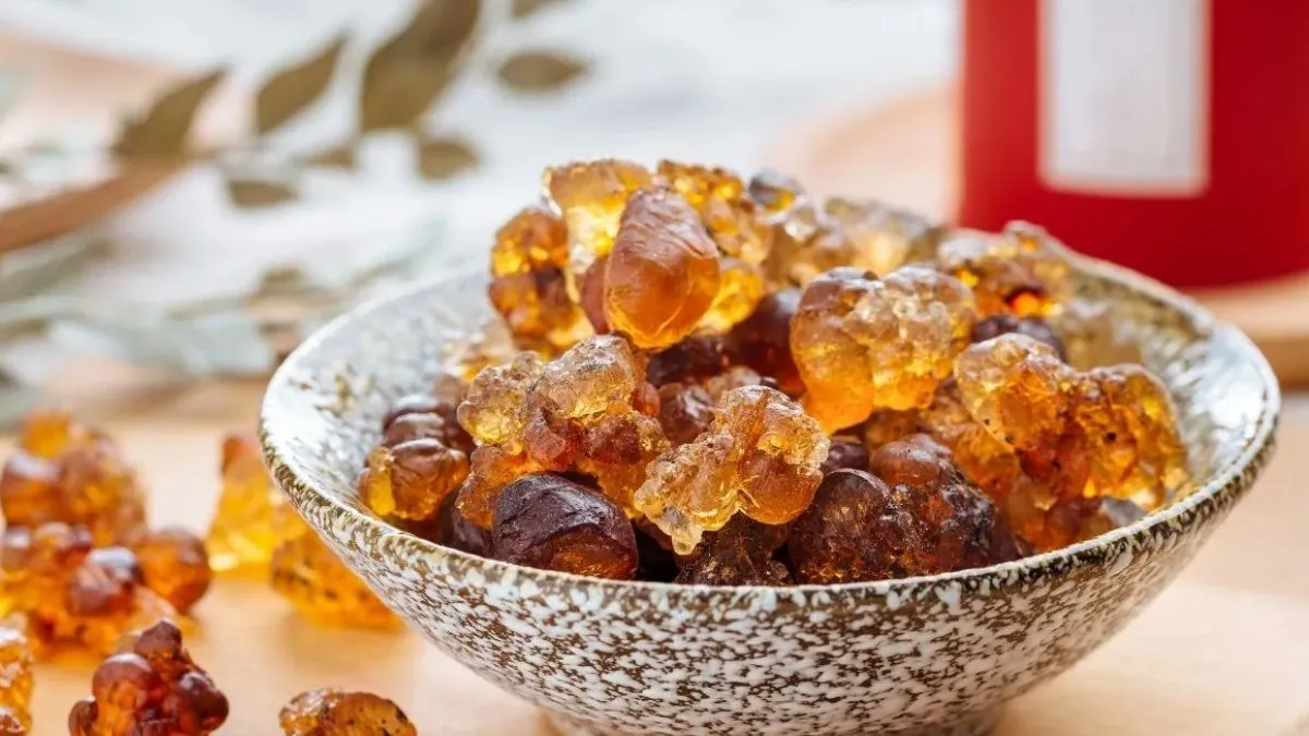 gond-katira-4-super-amazing-health-advantages-for-your-overall-wellbeing