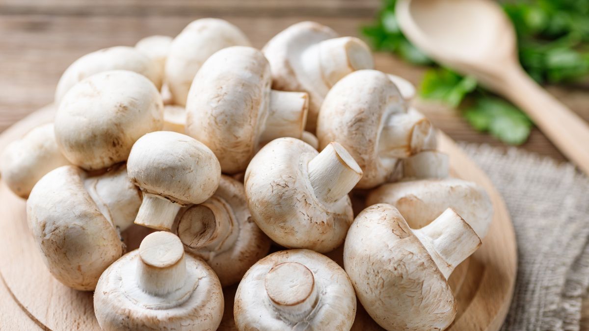 underrated foods for weight loss (1)