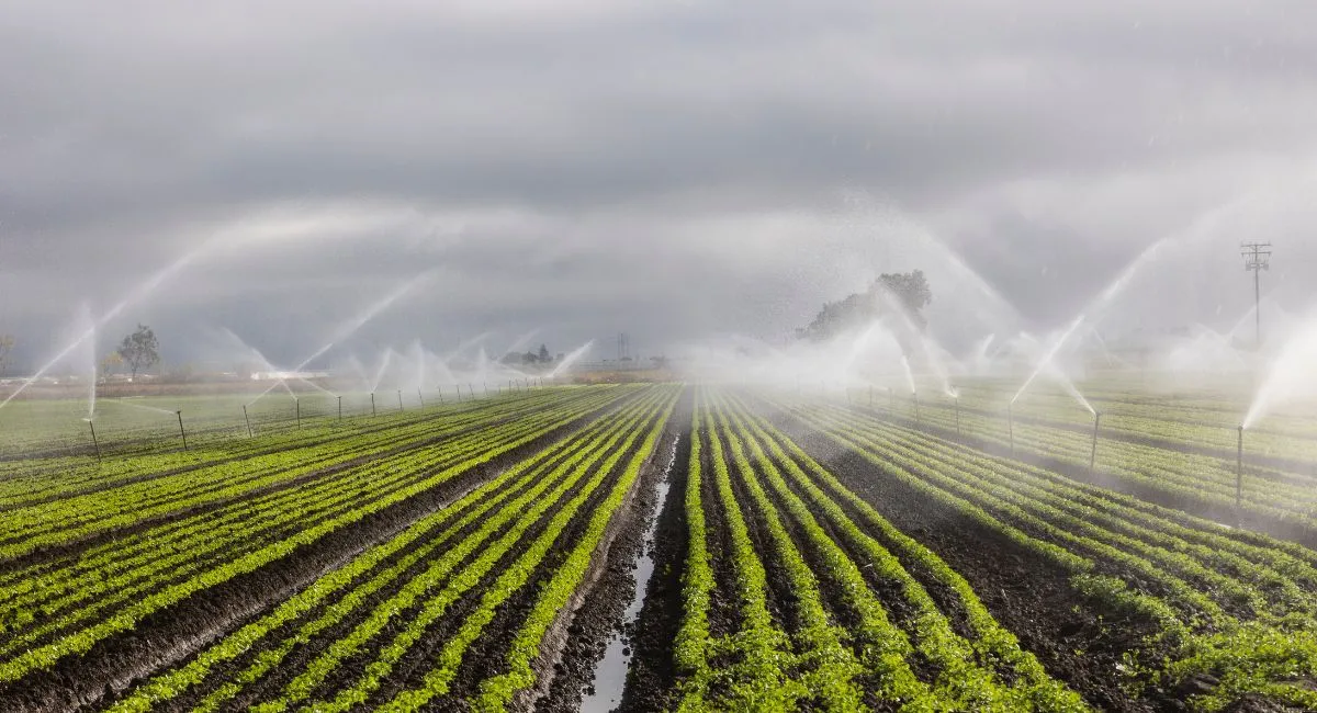 bihar-govt-offers-subsidised-irrigation-power-facilitates-easy-access-via-suvidha-app-in-bhabua-details