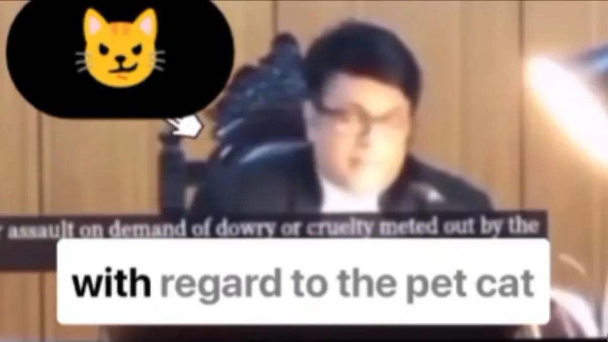 wife-files-case-against-husband-for-loving-pet-cat-more-than-her-says-she-feels-ignored-viral-video