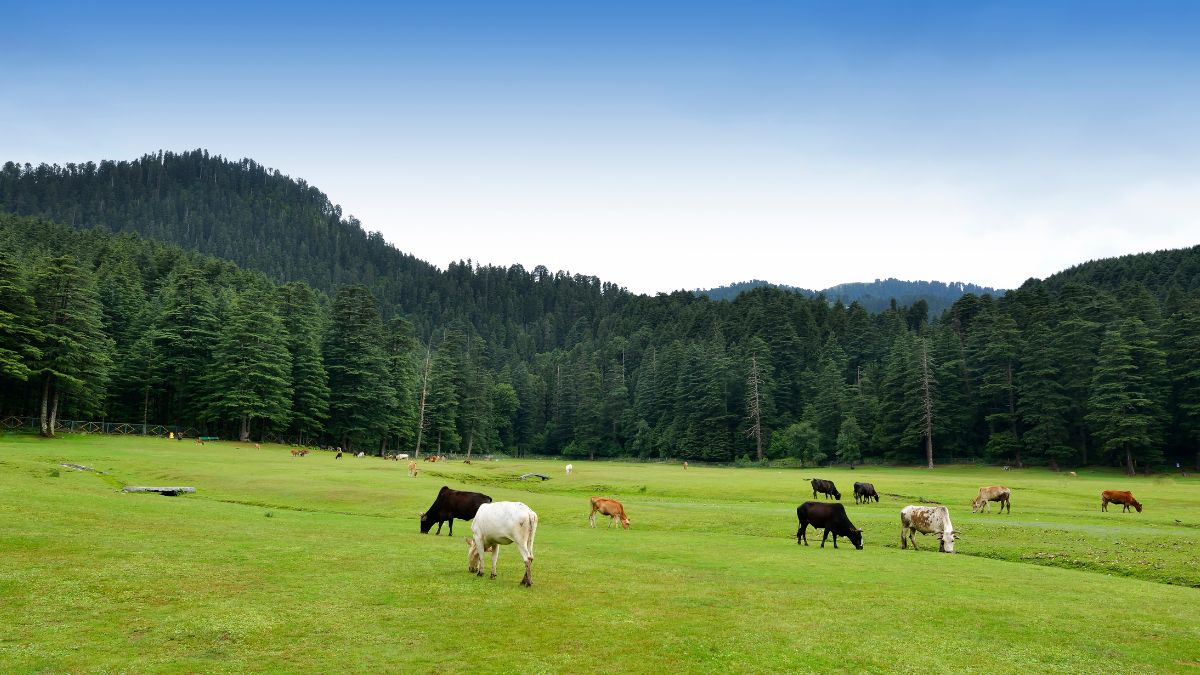 top 10 breathtaking hill stations in Himachal pradesh (3)