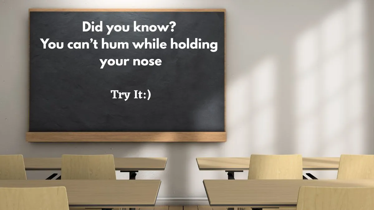 50-did-you-know-questions-with-answers-for-school-notice-board