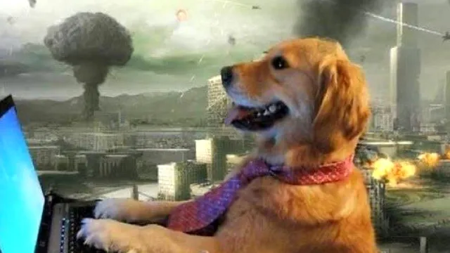 pakistanis-are-good-at-memes-but-not-at-wars-india-pak-war-memes-take-over-internet-after-operation-sindoor