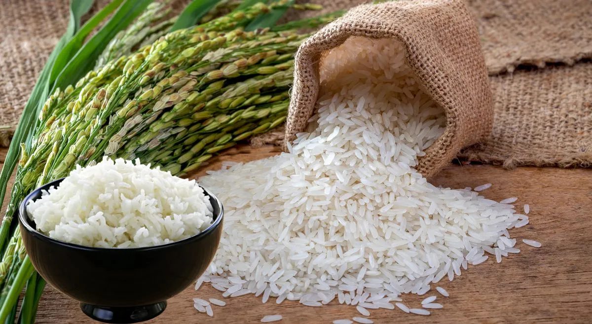list-of-top-10-largest-rice-producing-countries-in-the-world-know-where-india-ranks
