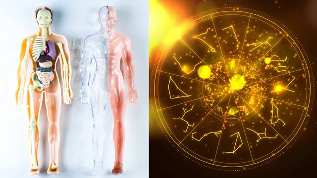 which-body-part-does-your-zodiac-sign-rule-know-astrological-connection-between-your-body-and-rashi