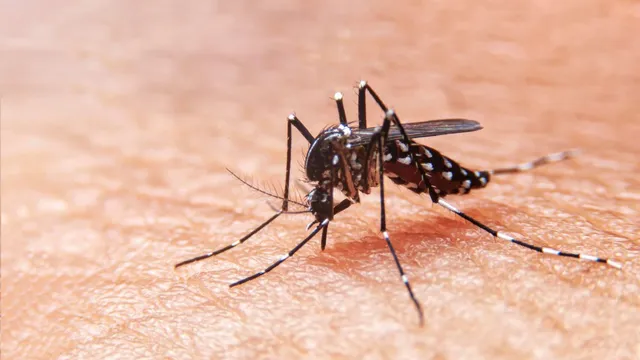 doctor-recommends-essential-measures-to-stay-safe-from-dengue