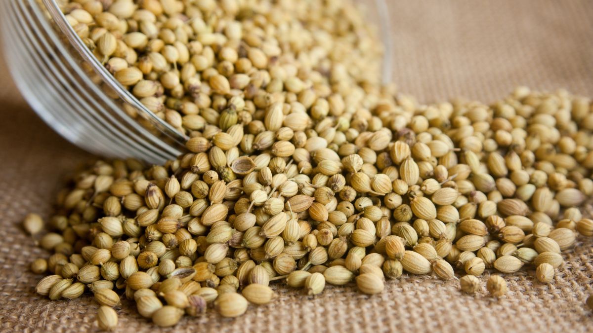 Coriander Seeds