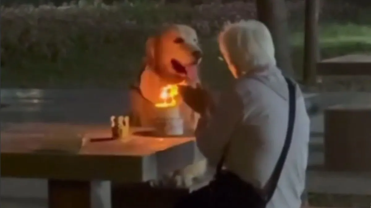 adorable-video-shows-dog-ignoring-cake-and-staring-lovingly-at-grandma-in-viral-birthday-celebration