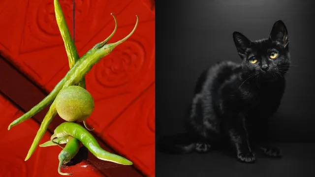 7-popular-superstitions-in-india-and-reason-behind-them-eye-twitching-hanging-lemon-and-chilli-more
