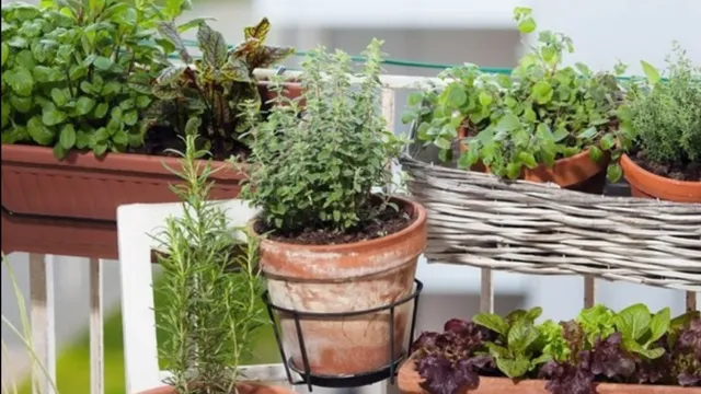 noida-authority-flowerpots-rule-noida-balcony-mishap-flower-pot-falling-incidents-noida-police-noida-rwa-association