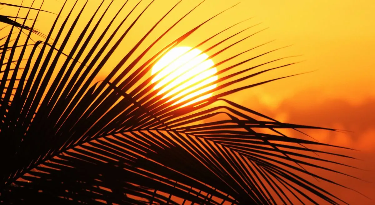 interesting-facts-about-the-sun