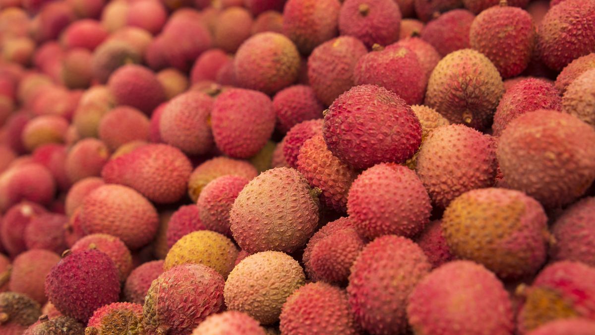 tips to choose right lychees