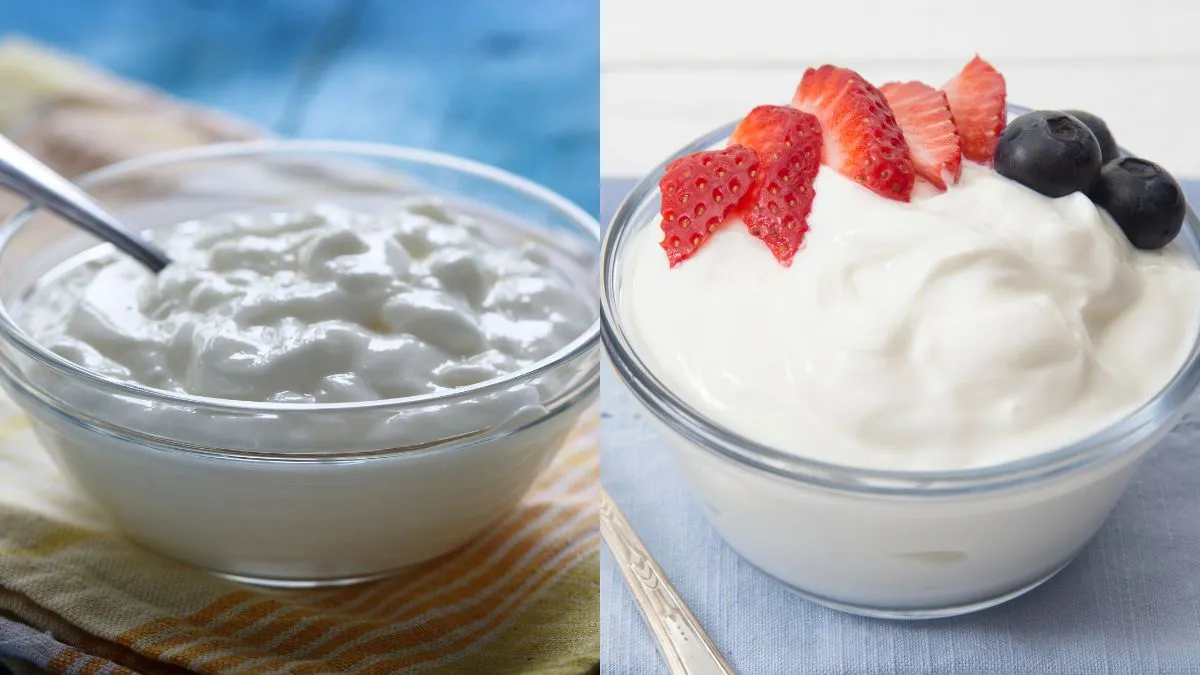 curd-vs-greek-yoghurt-what-is-the-difference-and-which-one-is-healthier